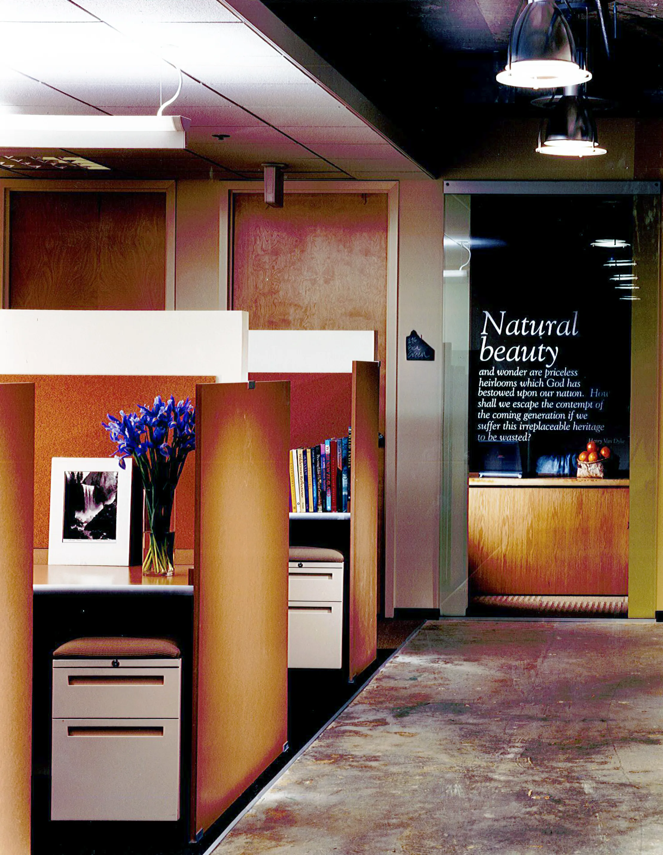 wilderness society 2