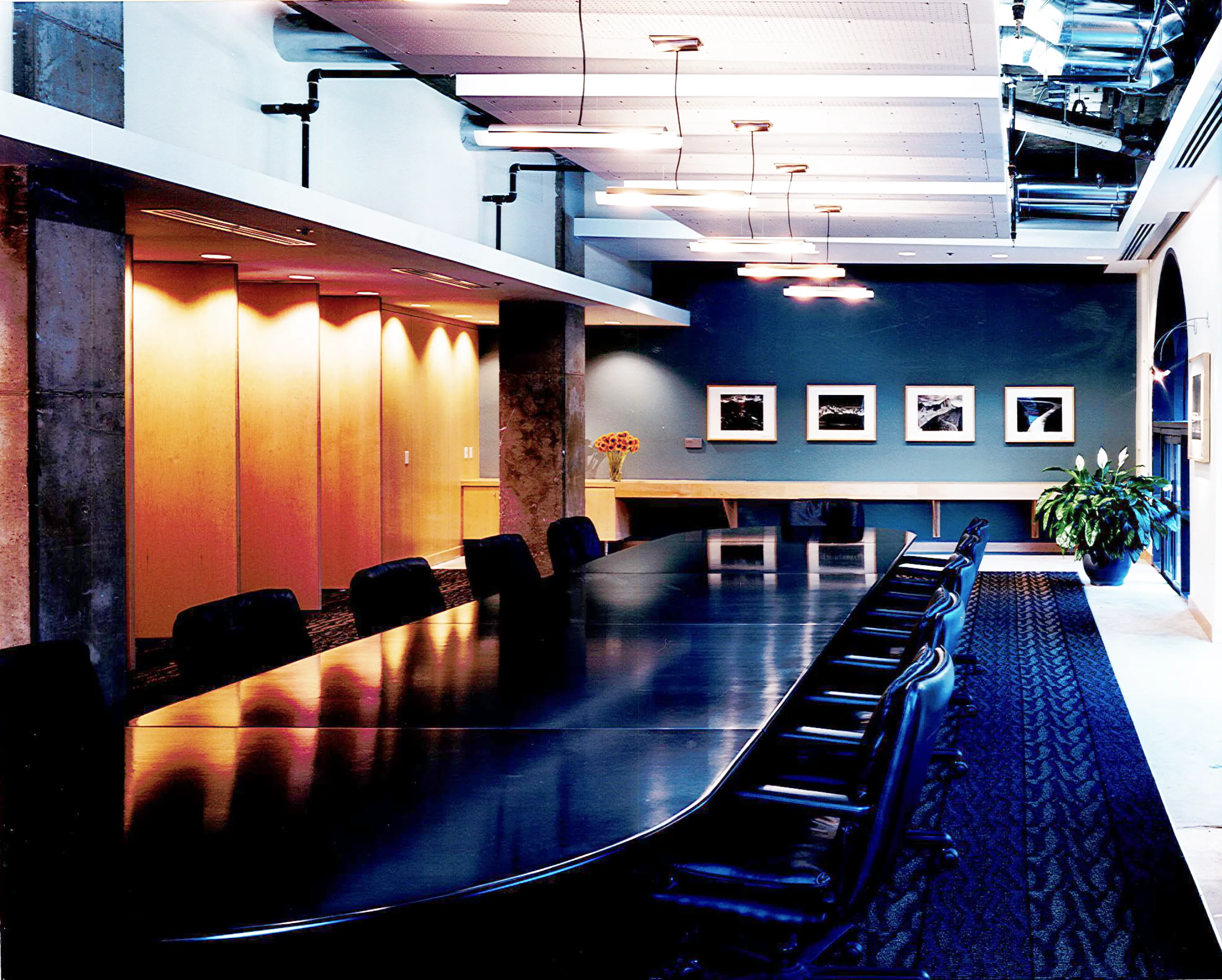 wilderness society 4